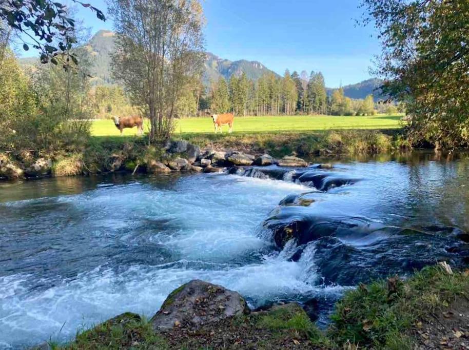 Casa Natur Pur, 85M2 Mit Garten Sauna Fischbachau Extérieur photo