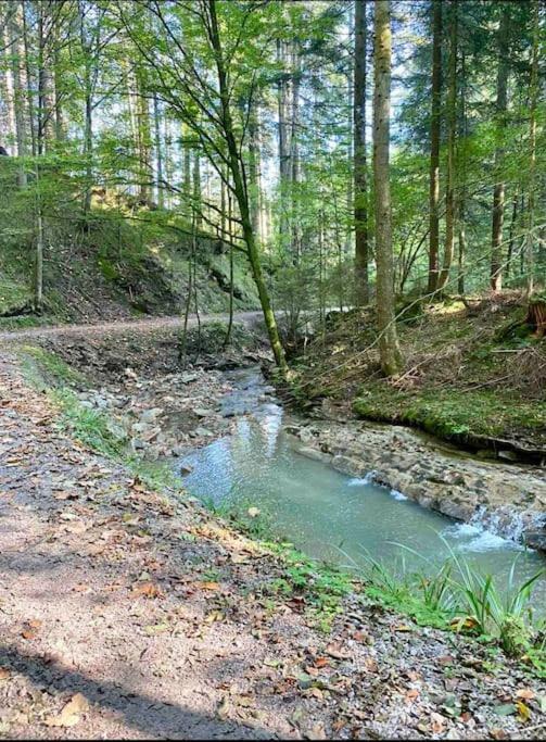 Casa Natur Pur, 85M2 Mit Garten Sauna Fischbachau Extérieur photo