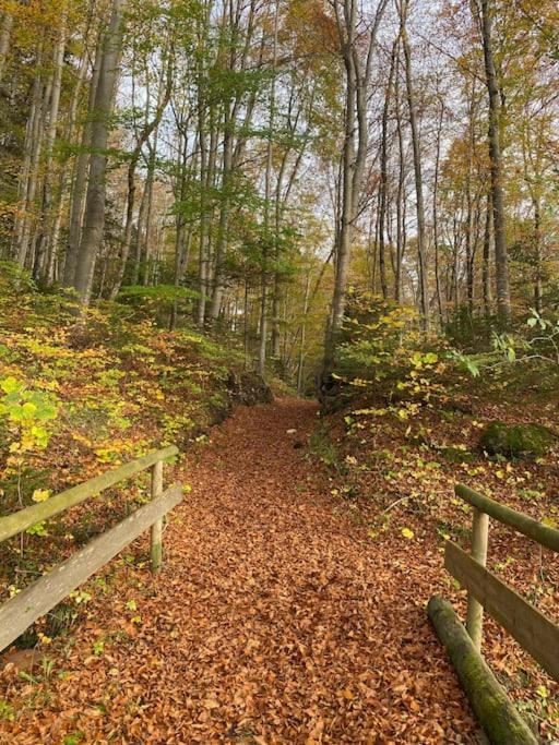 Casa Natur Pur, 85M2 Mit Garten Sauna Fischbachau Extérieur photo