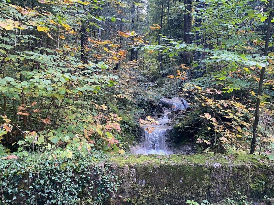 Casa Natur Pur, 85M2 Mit Garten Sauna Fischbachau Extérieur photo